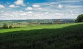 Tour Mountainbike Wirten - Chemin transfrontalier des mines de fer  -  Balade_VTT_51kms - Photo 2