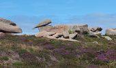 Tocht Stappen Perros-Guirec - sentier douaniers - Photo 2