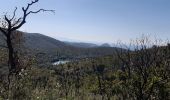 Excursión Senderismo Bormes-les-Mimosas - le Trapan,Brégançon, l'Estagnol,Leoube Pellerin  - Photo 8