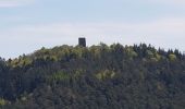 Trail Walking Saverne - Saverne : rocher Rappenfels - grotte St Vit - château Greifenstein - Photo 13