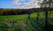 Trail Walking Honnelles - La promenade du Caillou qui Bique - Photo 3