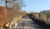 Excursión Senderismo Verviers - Drève de maison bois  - Photo 1