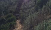 Trail Walking Ramatuelle - L’escalet, Cap Taillat, Cap Lardier - Photo 3