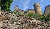 Tocht Stappen Najac - Najac - Photo 6