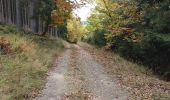 Trail Walking Trois-Ponts - brume 2 - Photo 7