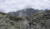 Trail Walking Chamonix-Mont-Blanc - Plan de l'aiguille-Montenvert - Photo 5