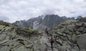 Tocht Stappen Chamonix-Mont-Blanc - Plan de l'aiguille-Montenvert - Photo 5