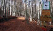 Tocht Te voet Pannarano - Dalla montagna di sotto alla montagna di sopra - Photo 2