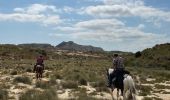 Trail Horseback riding Bardenas Reales de Navarra - Bardenas jour 5 - Photo 5