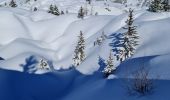 Randonnée Raquettes à neige La Plagne-Tarentaise - La Plagne Village, Col de la grande Forcle, Dou du Praz, La Bergerie, La Plagne Village. - Photo 3