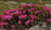 Tour Wandern Val-Cenis - 73 - Val Cenis Termignon Pkg Bellecombe - Photo 3