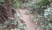 Trail Walking Cabrières - 30 gardon bois des coufines - Photo 12