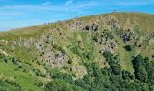 Tour Wandern Stoßweier - Gachbey Hohneck - Photo 18