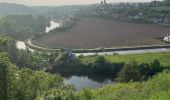 Tour Wandern Anderlues - Balade Lobbes-Thuin-Anderlues  - Photo 16