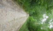 Trail On foot Bierbeek - Sint-Ermelindiswandelpad - Photo 1