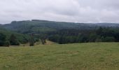 Tour Wandern Hohenfels - Houffalize 270622 - Photo 18