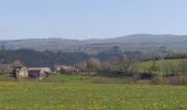 Tocht Stappen Saint-Chély-d'Aubrac - Compostelle St chely St come d'olt - Photo 9