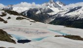 Tour Wandern Chamonix-Mont-Blanc - descente du lac blanc  - Photo 3