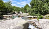 Trail Walking Pont de Montvert - Sud Mont Lozère - Pont de Montvert / Pont du Tarn  - Photo 2