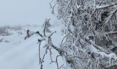 Tocht Stappen Murol - Le tour de Beaune le froid  - Photo 9