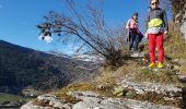 Percorso A piedi Engins - Le Pas du Curé - Photo 8