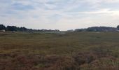 Trail Walking Crac'h - PR_56_Crach_AA_01_Plas-Caer_Circuit4a_20191117 - Photo 4