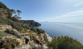 Tour  Hyères - Porquerolle Ouest le fort du Langoustier  - Photo 7