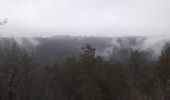 Trail Walking Ornans - Bonnevaux du bas - Photo 7