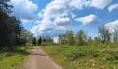 Trail Walking Waimes - baraque michel - botrange via fagne de polleur, retour via fagne wallonne  - Photo 6