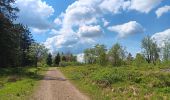 Randonnée Marche Waimes - baraque michel - botrange via fagne de polleur, retour via fagne wallonne  - Photo 6