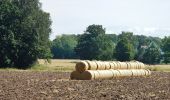 Tour Zu Fuß Welver - Wanderweg rund um Welver - Photo 6