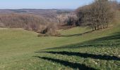 Trail Walking Anhée - Maredsous 040322 - Photo 3