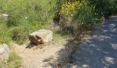 Percorso Marcia Gordes - village bories towards hotel bories - Photo 1