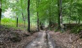 Randonnée Marche Flobecq - La Houppe 18 Km - Photo 3