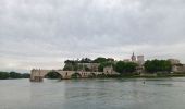 Randonnée Marche Avignon - ile de Barthelasse 1ere du top 10 des balades d Avignon... pauvres avignonais... - Photo 1