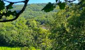 Tour Wandern Bouillon - Le Sentier des Points de Vues - Bouillon - Photo 20