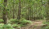 Tocht Stappen La Chapelle-Enchérie - La Chapelle-Enchérie - Bois de Bricsard - Photo 16