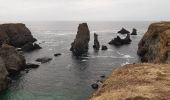 Excursión Senderismo Sauzon - pointe des poulains - Photo 1