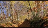 Trail Walking Le Bouchet-Mont-Charvin - Aulp de Marlens - Photo 6