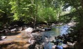 Excursión Senderismo Ménil-Hubert-sur-Orne - De Rouvroy aux Roches d'Oetre par le sentier des Méandres  - Photo 2