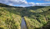 Randonnée Marche Bouillon - Rochehaut 051024 - Photo 2