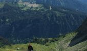 Trail Walking Montriond - Lac de Montriond - Roc de Tavaneuse - Photo 19