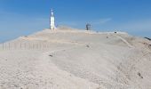 Percorso Marcia Brantes - Ventoux Signal  - Photo 4