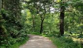 Randonnée Marche Amblève - La rivière d'or (9km) - Photo 16