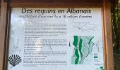 Trail Walking Entrelacs - Ronde des fours Albens  - Photo 5