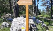 Trail Walking Gréolières - ballade sentier des pivoines Greolieres - Photo 2