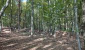 Tour Zu Fuß Tieschen - Weinbergweg - Photo 4