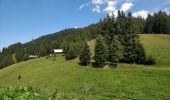 Trail Walking Arâches-la-Frasse - Les Tronchets - Photo 2