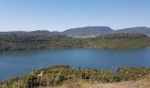 Tocht Stappen Le Puech - Les Vailhès Laulo Plateau d'Auverne Salagou - Photo 9