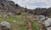 Trail Walking Furmeyer - Mias - Manche - Gorce - Jamone - Photo 3